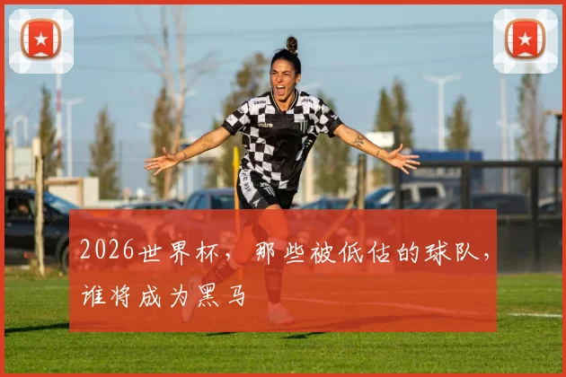 2026世界杯,那些被低估的球队,谁将成为黑马